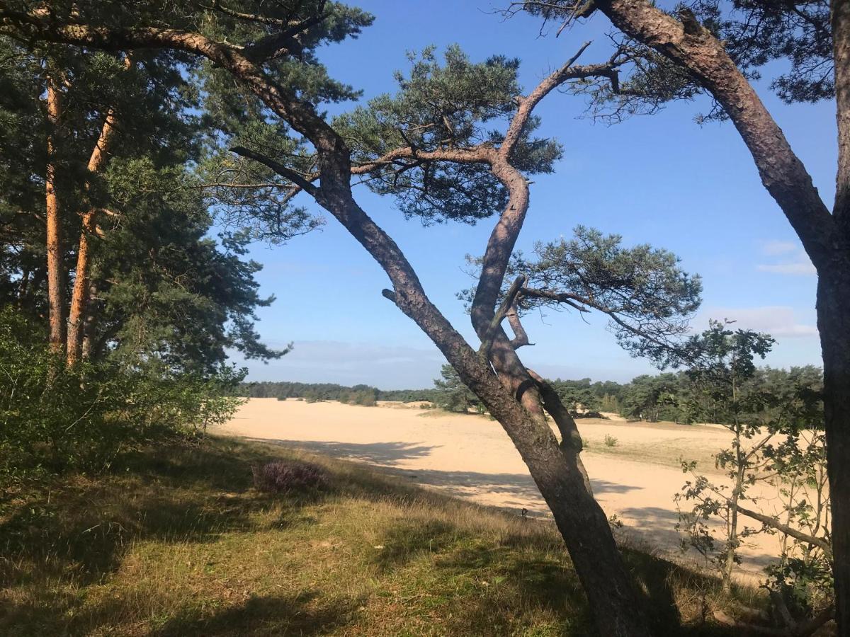 Boshuisje Veluwe Mels Place Doornspijk Kültér fotó